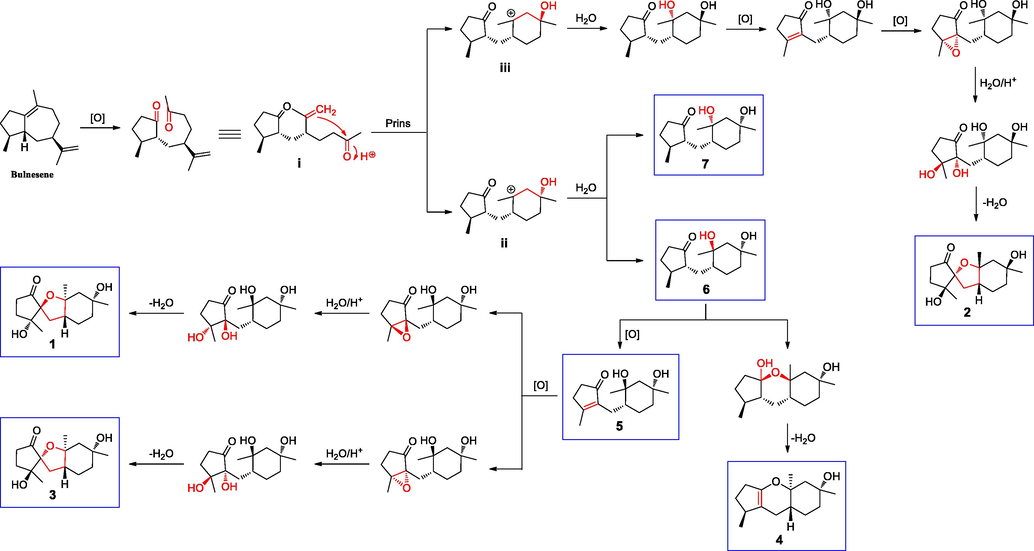 Possible biosynthetic pathways for pogocablanols A–G (1–7).