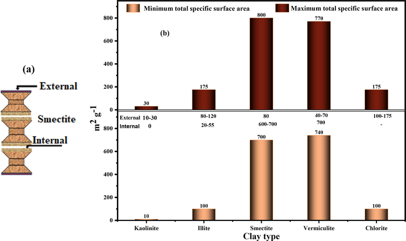 (a) External and internal clay surfaces (for example, smectite); (b) External, internal, and total specific surfaces of major clay families.