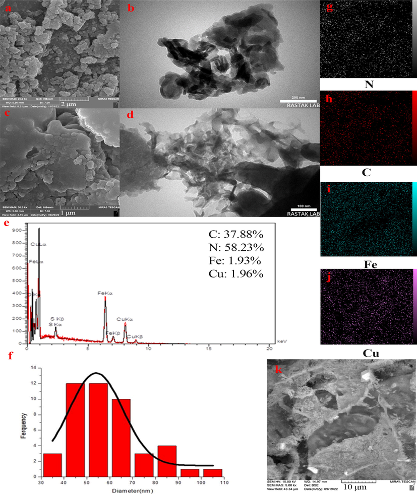 FESEM and TEM micrographs of g-C3N4 (a and b) and Fe-Cu@g-C3N4 (c and d); EDAX analysis of Fe-Cu@g-C3N4 (e); DLS analysis for particle size distribution analysis of Fe-Cu@g-C3N4 (f); EDS Dot mapping of N (g), C (h), Cu (i), Fe (j), and SEM of the scanned area (k).