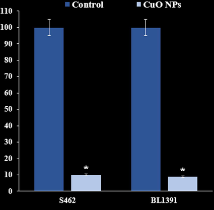 The effect of CuO NPs on colony formation (%).