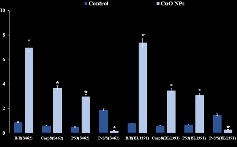 Outcome of CuO NPs on the expression patterns of Bax, BCL-2, Caspase-8, P53 and STAT3.