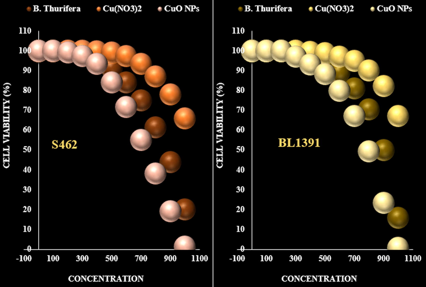 The anti-nerve carcinoma properties (Cell viability (%)) of B. Thurifera, Cu(NO3)2, and CuO NPs (Concentrations of 0–1000 µg/mL) against S462 Human Peripheral Nerve Sheath Tumor and BL1391.