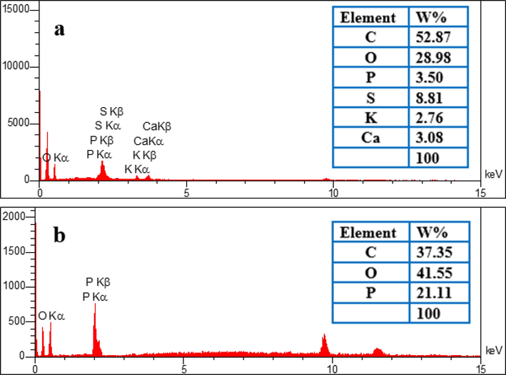 EDX spectra for (a) RGT and (b) ACGT.