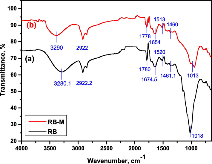 FT-IR Spectra of (a) RB before the sorption and (b) RB-M after the sorption.