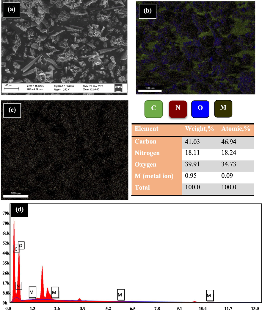 RB after the sorption using SEM and EDX mapping.