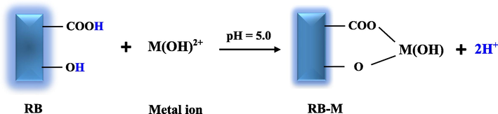 Mechanism for sorption of metal ions on RB.