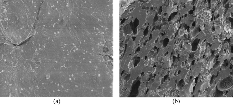 SEM images of (a) precursor (b) LWBAC (1000x magnificent level).