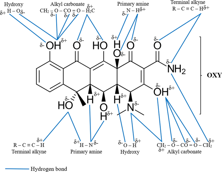 Possible attraction mechanism between OXY molecules and functional groups on LBWAC’s surface.