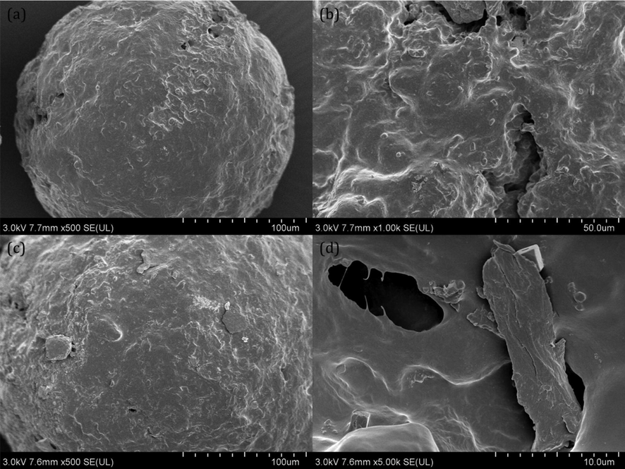 The change in the physical properties of the PE-MPs after 15 d of irradiation. (a) the SEM image of the initial PE-MPs; (b) the SEM image of the aged PE-MPs with fulvic acid; (c) the SEM image of the aged PE-MPs without humic acid and fulvic acid; (d) the SEM image of the aged PE-MPs with humic acid.