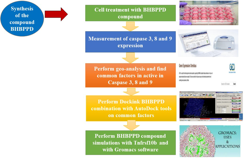 Workflow of this scientific study.