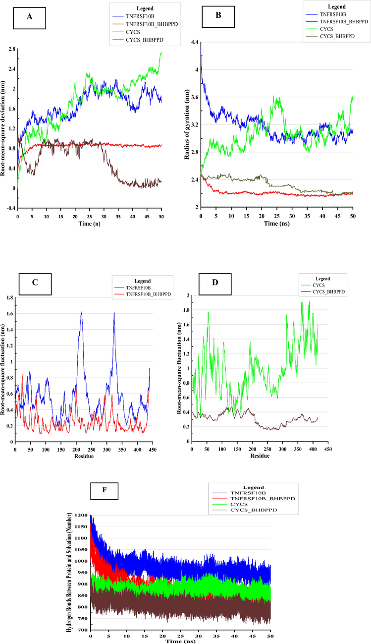 Stability of TNFRSF10B and CYSC and complex they in the presence of BHBPPD. Average root means square deviation (RMSD) for protein fit to Alpha carbon (A) for 50 ns, and average root mean square fluctuation of whole protein following stabilization. (B) Radiues of gyration of TNFRSF10B and CYSC and TNFRSF10B and CYSC complex in the presence of BHBPPD (C and D) shows the RMSF values the TNFRSF10B (C) and CYSC (D) form and ligand (BHBPPD) bound forms of the proteins. (F) Indicates the number of hydrogen bonds between TNFRSF10B and CYSC proteins and water solvent (spc216) in the presence of ligand and absence.
