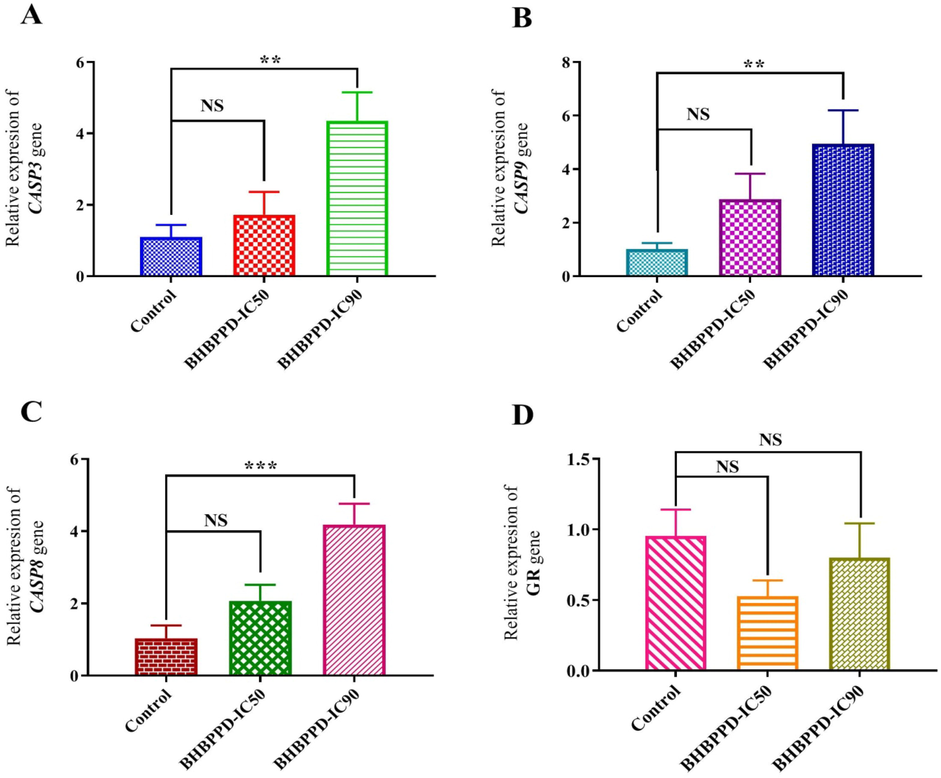 Relative quantifications of CASP3, CASP9, CASP8, and GR transcripts in the AGS cell line. Cells were incubated with IC50 and IC90 concentrations of BHBPPD for 72 h. β-actin was used as a favored internal control. The results are presented as mean ± SE of three independent experiments each in triplicate compared with untreated samples. Symbols (***), (**), and (*) represent the mean differences between treated and untreated cell transcriptions as P < 0.001, P < 0.01, and P < 0.05 using one-way ANOVA, respectively.