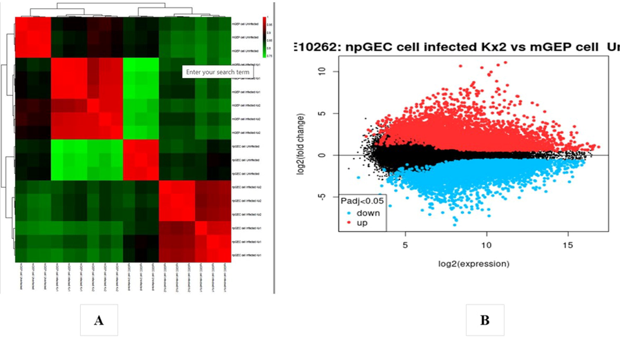 (A) Heat map of DEGs. (B) Volcano plot of genes detected in Gastric cancer. Red means upregulated and downregulated DEGs; black means no difference (GSE4651 dataset).