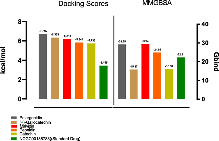Graph depicting the docking and MM-GBSA scores for the top five hits including the standard drug.