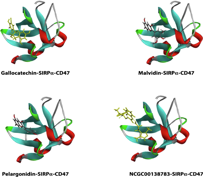 3D representation of hits with binding pocket of SIRPα.
