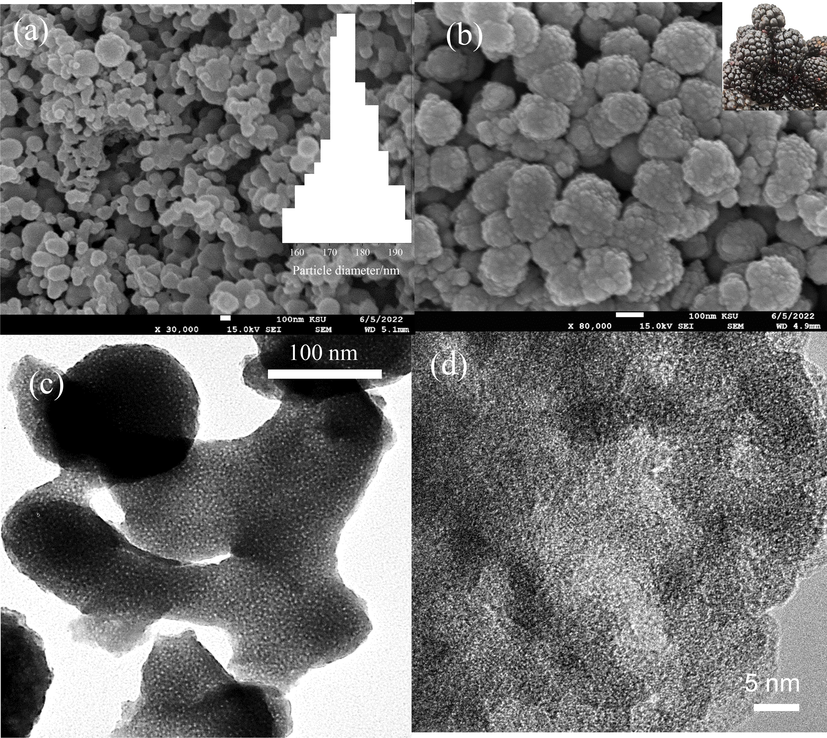 (a-b) SEM images at different magnifications, the insets show the nanoparticles size histogram and berry fruit image and (c-d) TEM photographs of meso-NiPO catalyst at different magnifications, the yellow circles highlighted the mesopores.