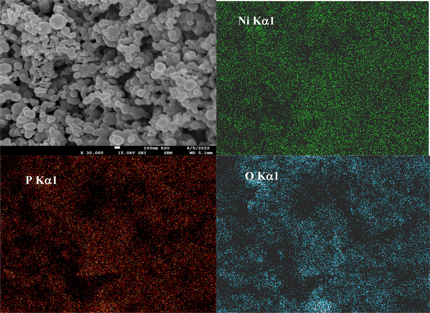 EDX elemental mapping of as-prepared mesoporous nickel phosphate.