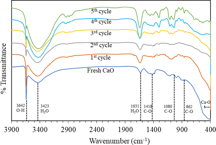 FT-IR spectra of fresh CaO and used CaO after each reaction cycle.