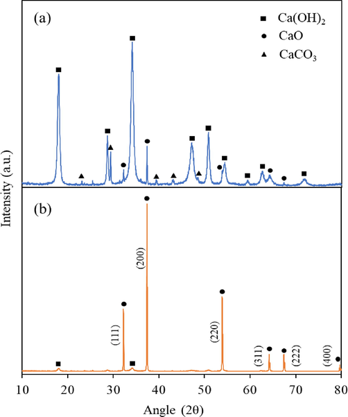 XRD patterns of (a) fresh commercial CaO and (b) calcined CaO at 900 °C.