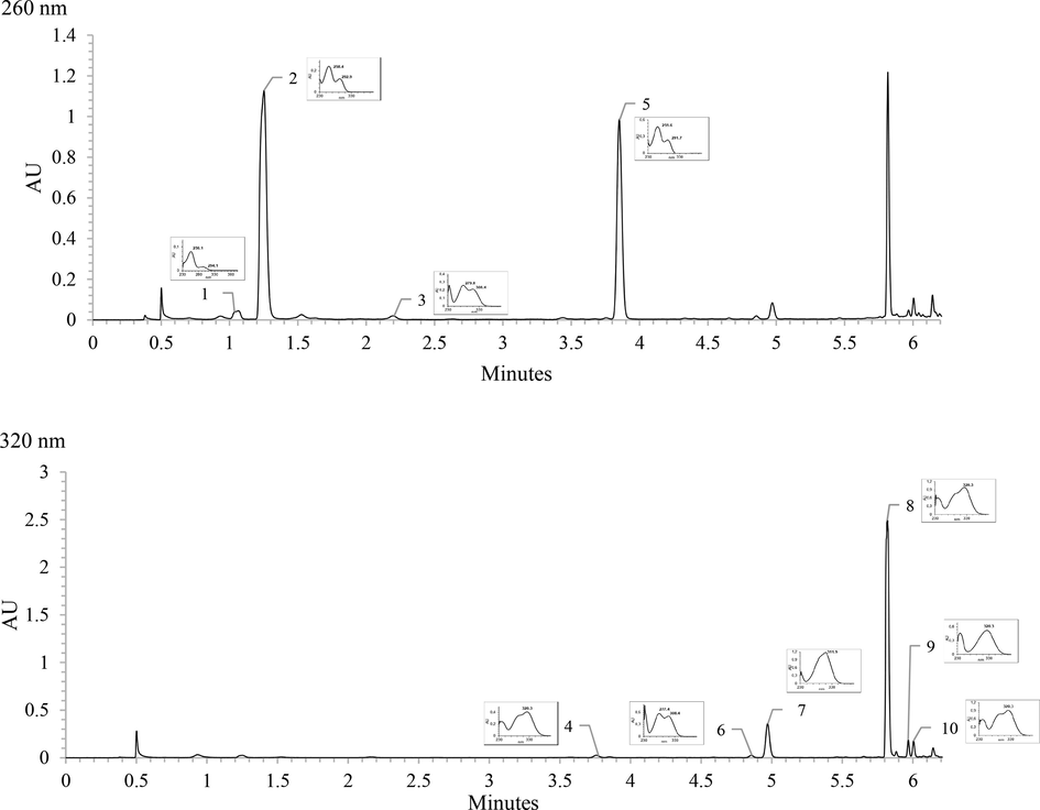 UV–Vis chromatogram and spectra of identified phenolic compounds in fermented BGR; (1) 2,4,6-trihydroxybenzoic acid, (2) protocatechuic acid, (3) protocatechuic aldehyde, (4) caffeic acid, (5) vanillic acid, (6) vanillin, (7) p-coumaric acid, (8) ferulic acid, (9) sinapic acid, (10) isoferulic acid.