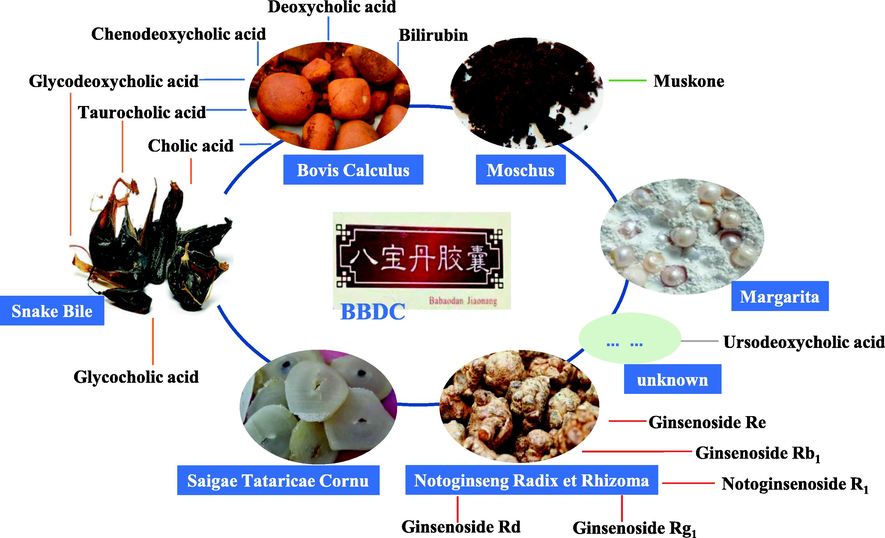 Composition of prescription medicines and source of quantitative compounds in BBDC.