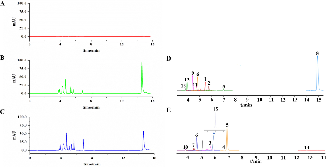 DMRM spectrograms of established quantified method for BBDC. A. the blank test sample; B. a mixed standard solution, C. BBDC sample; D and E. ion chromatograms of DMRM (1. Cholic acid; 2. Glycodeoxycholic acid; 3. Ursodeoxycholic acid; 4. Chenodeoxycholic acid; 5. Deoxycholic acid; 6. Glycocholic acid; 7. Taurocholic acid; 8. Bilirubin; 9. Ginsenoside Rb1; 10. Ginsenoside Re; 11. Ginsenoside Rd; 12. Ginseng Saponins Rg1; 13. Notoginsenoside R1; 14. Muscone; 15. Obacunone, IS).