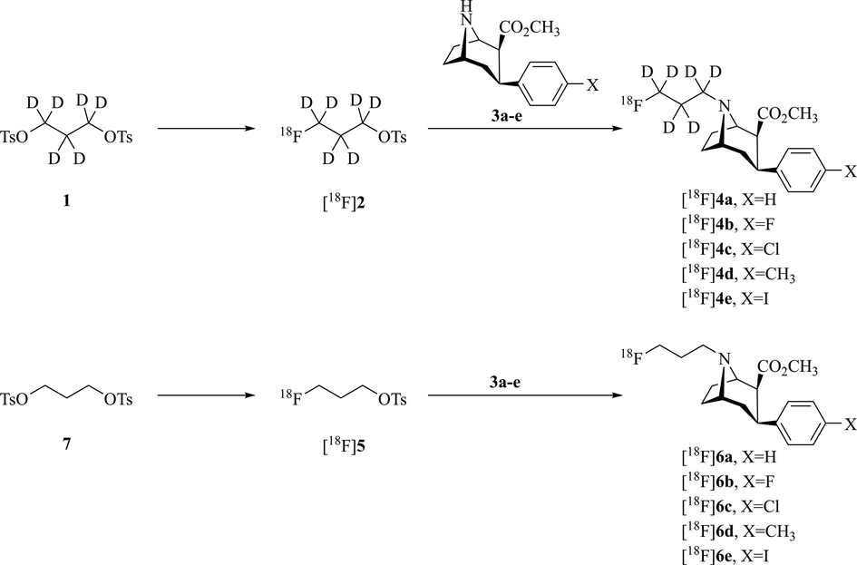 Radiosynthesis of [18F]4a-e and [18F]6a-e.