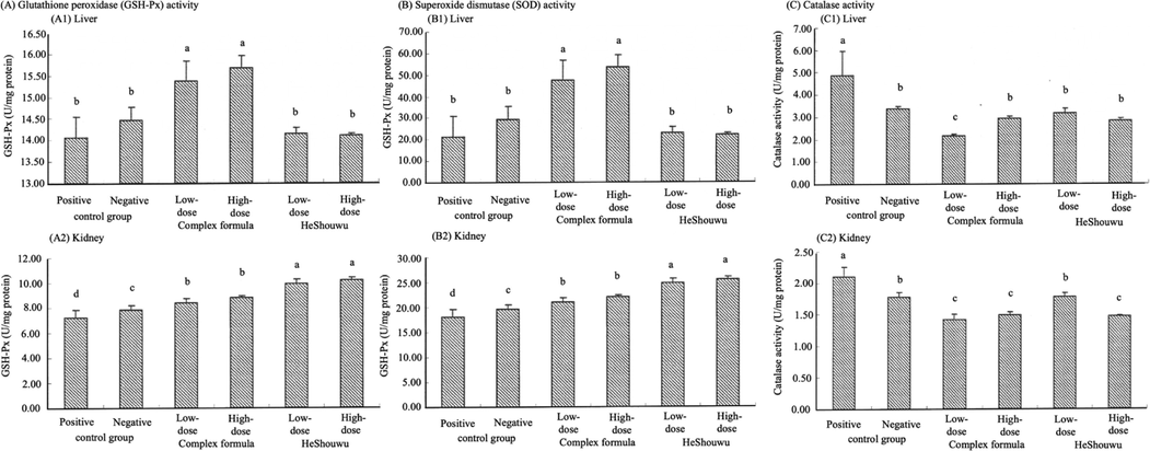 Evaluation of antioxidant [glutathione peroxidase (GSH-Px), superoxide dismutase (SOD), catalase (CAT)] activities in the liver and kidney of hamsters fed with HeShouWu (Polygonum mulitiflorum) and its complex formula, positive and negative control groups. n = 10. Means with different letters are significantly different (p < 0.05).