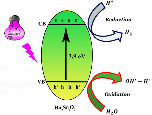 Schematic diagram of photodegradation of organic pollutants.