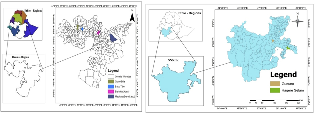 Geographical location of soil sampling sites.