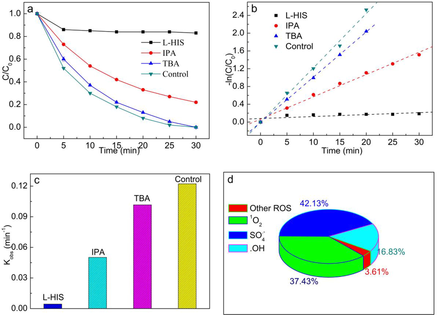 MB degradation (a), pseudo-first-order kinetic curves for MB degradation (b) and MB degradation rate constants (c) in CuO/Fe3O4/PMS system in the presence of different scavengers. The contribution of •OH, SO4•-, 1O2 and other ROS in CuO/Fe3O4/PMS system (d). Initial conditions: [MB] = 20 mg/L, [PMS] = 1 mmol/L, [CuO/Fe3O4] = 0.1 g/L, pH = 7.55, [IPA] = [TBA] = 50 mmol/L, [L-histidine] = 10 mmol/L.