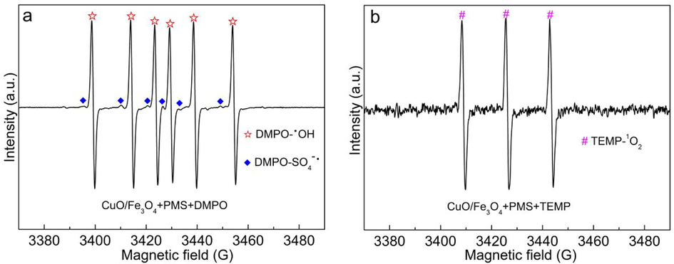 EPR spectra of •OH and SO4•- (a) and 1O2 (b) in CuO/Fe3O4/PMS system.