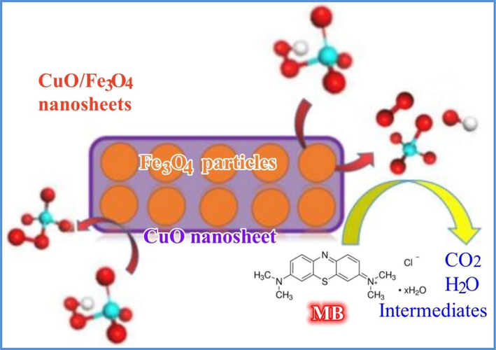 Possible mechanism of MB degradation in the CuO/Fe3O4/PMS system.