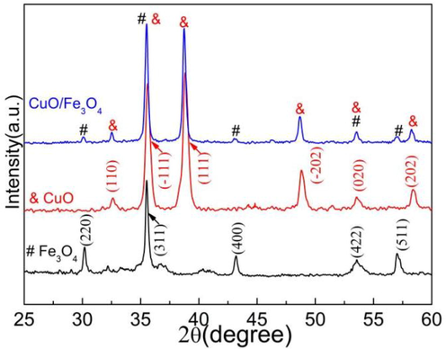 XRD patterns of as-synthesized CuO, Fe3O4 and CuO/Fe3O4 composites.