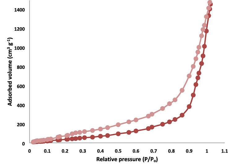 Adsorption–desorption isotherms of DFCoMn2O4/IL@Ru(II).