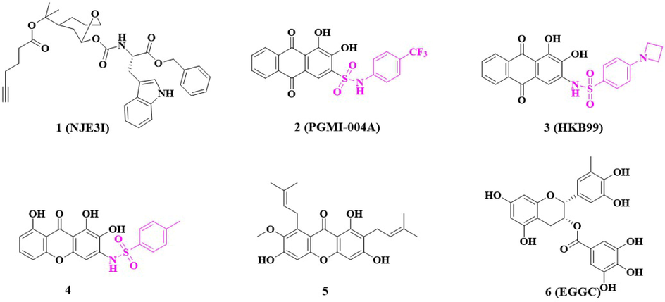 Reported phosphoglycerate mutase 1(PGAM1) inhibitors.