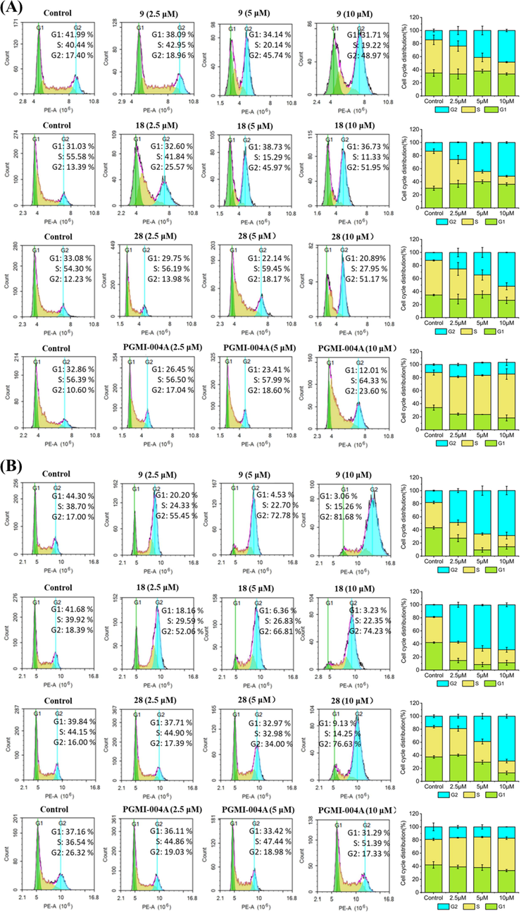 Effects of compounds on cell cycle. (A) H460 cells were treated with compounds 9, 18 and 28 for 48 h. (B) PC9 cells were treated with compounds 9, 18 and 28 for 48 h. At least three independent experiments were done for each condition.