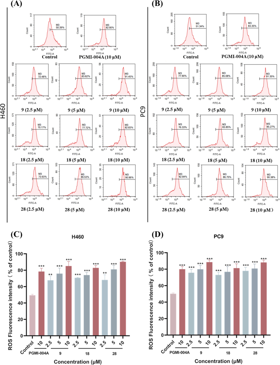 Effects of compounds on ROS. (A) H460 cells were treated with compounds 9, 18 and 28 for 48 h. (B) PC9 cells were treated with compounds 9, 18 and 28 for 48 h. Data were expressed as mean ± SD (n = 3). ***P < 0.001, determined with Student’s t test. At least three independent experiments were done for each condition.