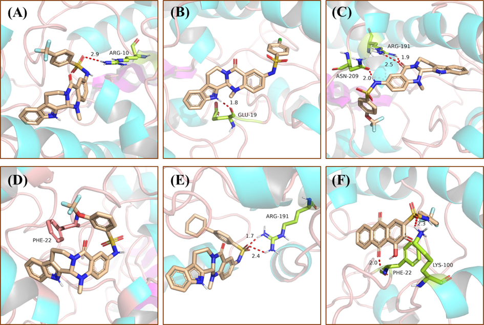 Binding models of PGAM1 with compound 9 (A), 11 (B), 18 (C), 28 (D), 34 (E) and PGMI-004A (F), respectively. The hydrogen bonds are indicated with red dashed lines. The carbons of compounds 9, 11, 18, 28 and 34 are colored in purple. The oxygen atoms are colored in red, nitrogen atoms in dark blue, and sulfur atoms in yellow. The figure was generated using Pymol.