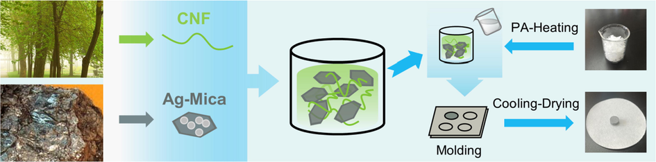 Schematic representation for the preparation process of Ag-Mica/CNF/PWx.