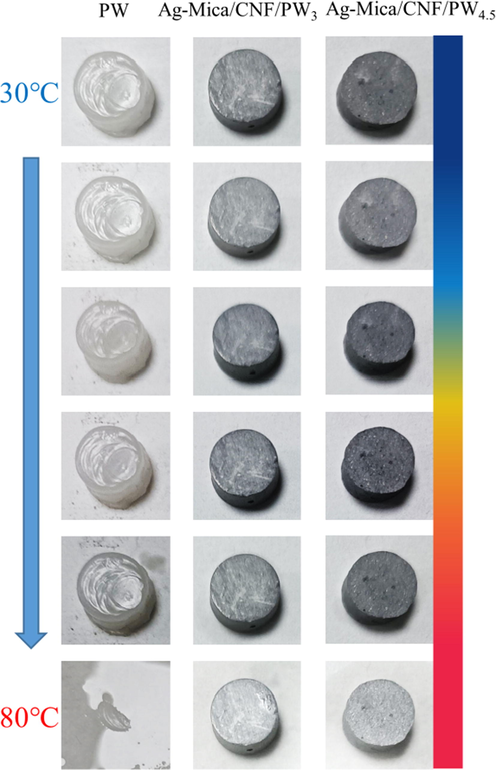 Digital images of CPCMs thermal leakage experiments.