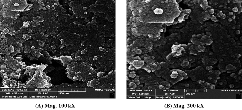 FESEM micrograph of the synthesized chitosan-glutamine nano-conjugate.