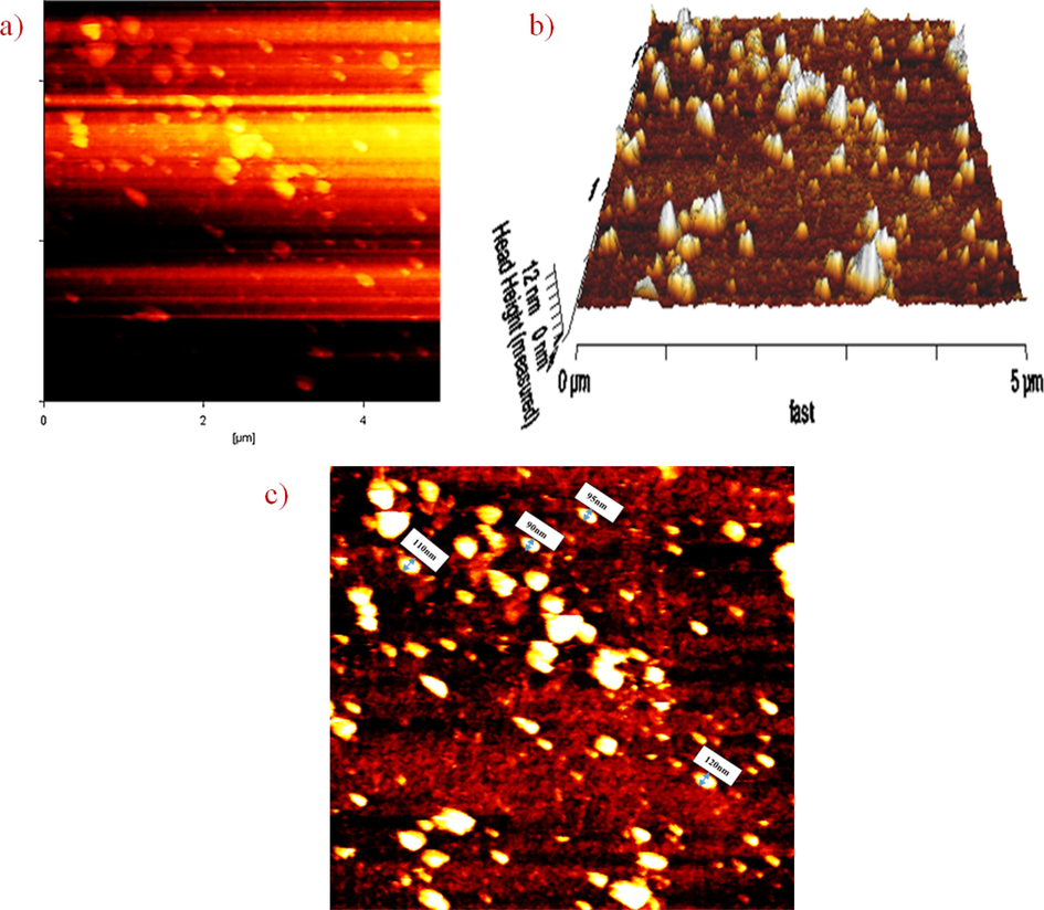 AFM micrograph of chitosan-glutamine nanoparticles; (a) two-dimensional, (b) three dimensional and (c) size of nano-conjugate.