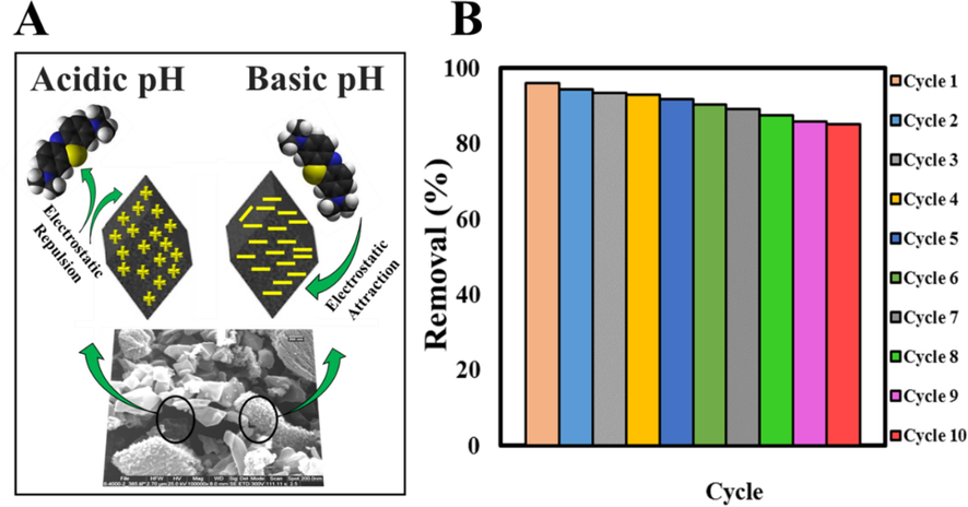 A) Mechanism of MB adsorption by Zn-MOF-5 NPC@MIL nanohybrid at acidic and basic pHs, B) Reusability of Zn-MOF NPC@MIL nanohybrid by adsorption–desorption process for ten consecutive cycles.