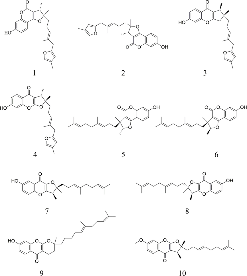 Structural diagram of the chemical components in FF-EtOAc.