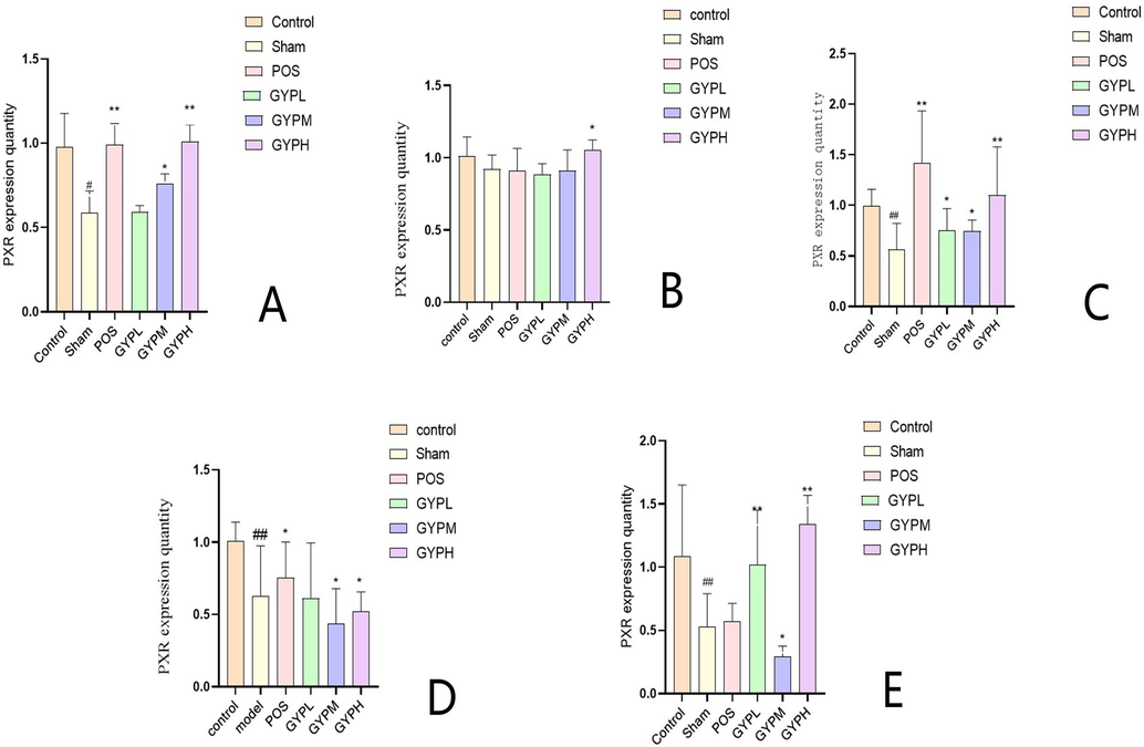 PXR expression of A. Serum, B. Skeletal muscle, C. Liver, D. Kidney, E. Spleen; Groups: BLK, blank; Sham, sham operation; POS, positive control; GYPL, GYP low dose; GYPM, GYP medium dose; GYPH, GYP high dose.