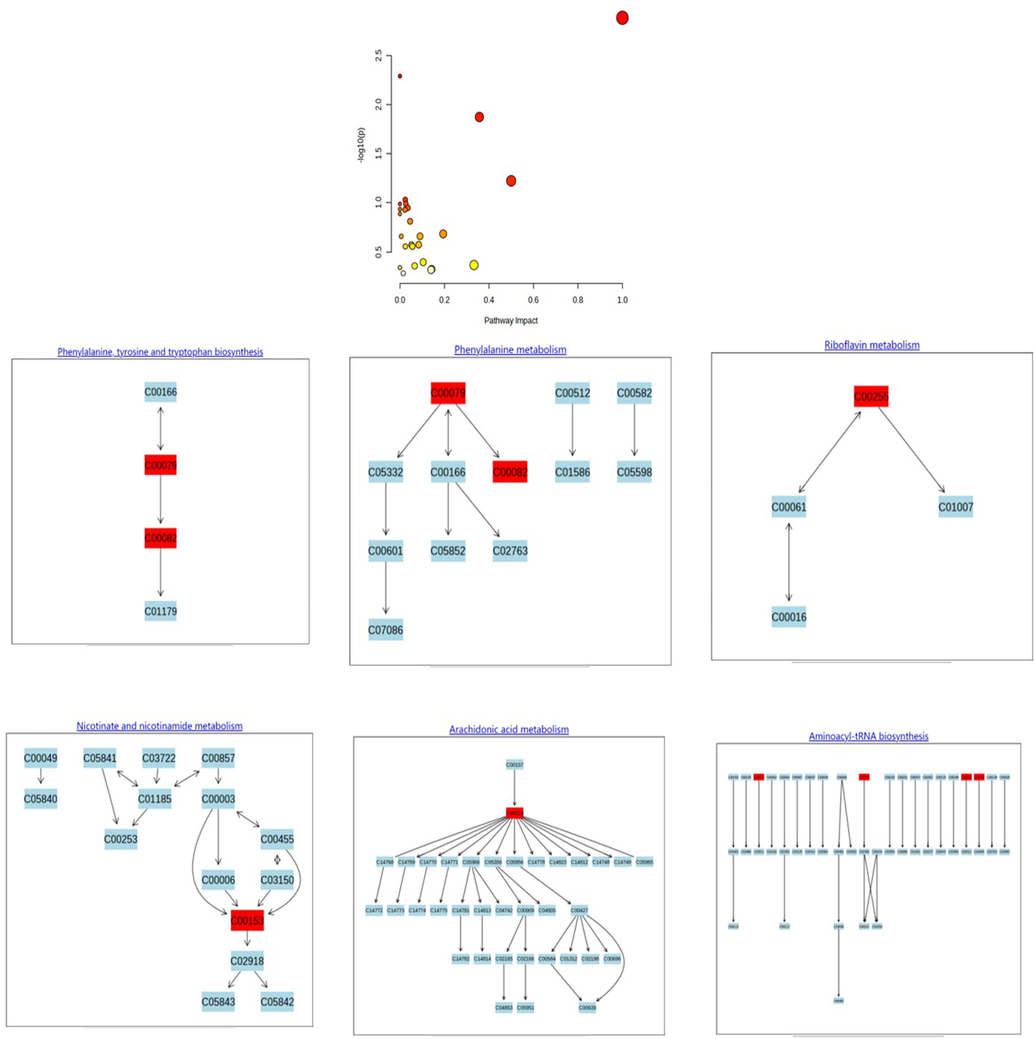 Overview of the metabolomic pathway.