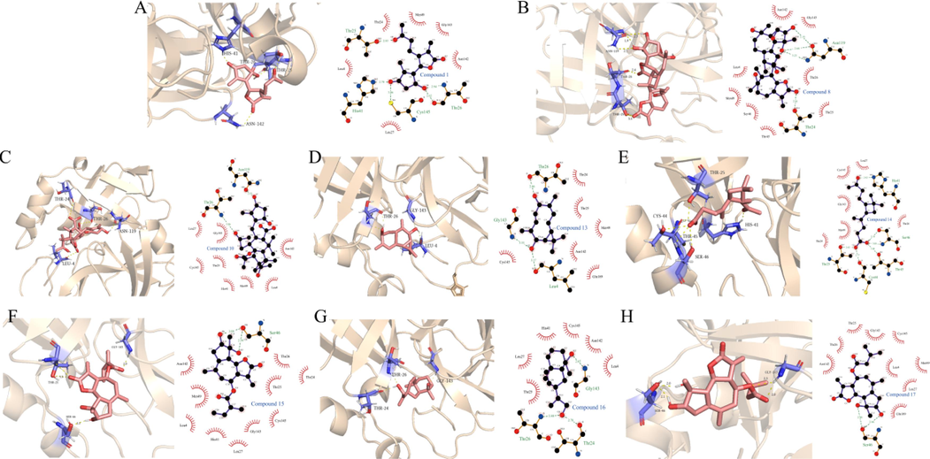 (A-H) The molecular interaction of SARS-CoV-2 Mpro and Compounds 1, 8, 10, 13, 14, 15, 16 and 17, respectively.