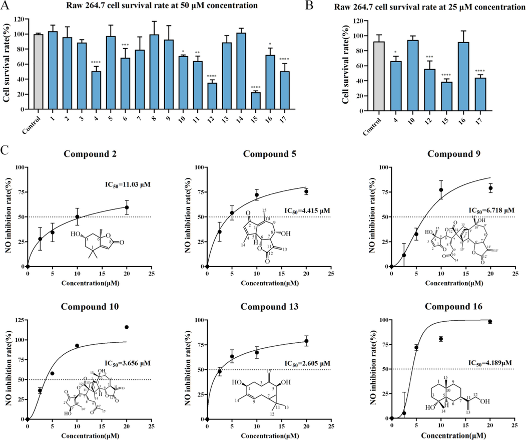 MTT assay of 17 compounds (50 μM). (B) MTT assay of Compounds 4, 10, 13, 15, 16 and 17 (25 μM). (C) Inhibitory effects of Compounds 2, 5, 9, 10, 13, 16 on NO production in RAW264.7. Results presented as the mean ± SD of three replicated tests. The GraphPad Prism was used to analyze the results using one-way ANOVA. Note: *P < 0. 05, **P < 0.01, ***P < 0.001, ****P < 0.0001.