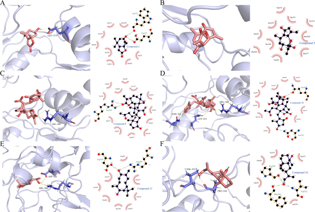 Interactions of compounds 2, 5, 9, 10, 13, and 16 with iNOS protein, respectively.